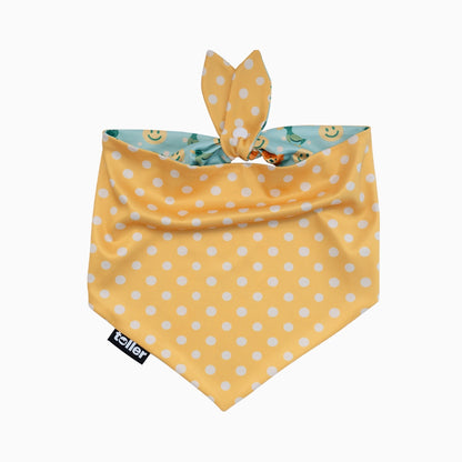 'Polka Duck' 2-in-1 Dog Bandana