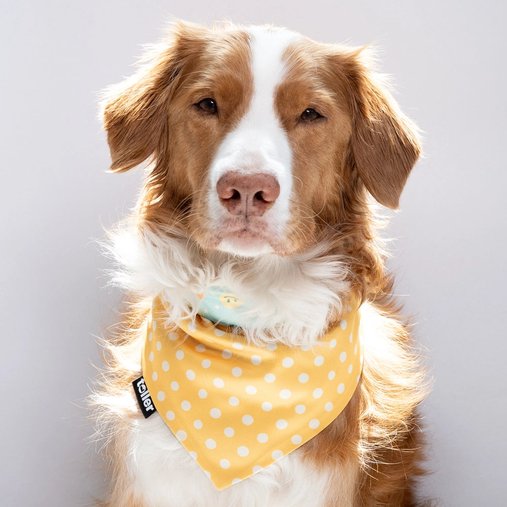 'Polka Duck' 2-in-1 Dog Bandana