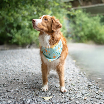 duck, smiley and toller dog bandana