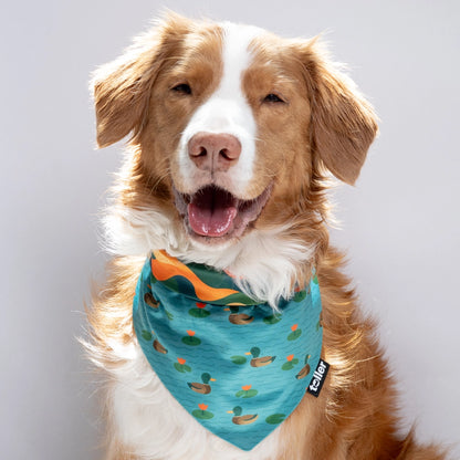 'Pond To Peak' 2-in-1 Dog Bandana
