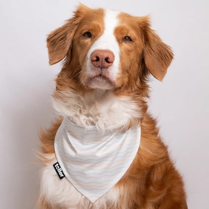 'Wavy Days' 2-in-1 Dog Bandana