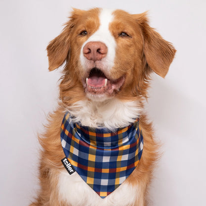 nova scotia plaid bandana