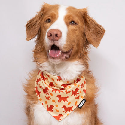 'Nova Scotia Plaid' 2-in-1 Dog Bandana