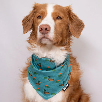 ducks in a pond bandana on toller