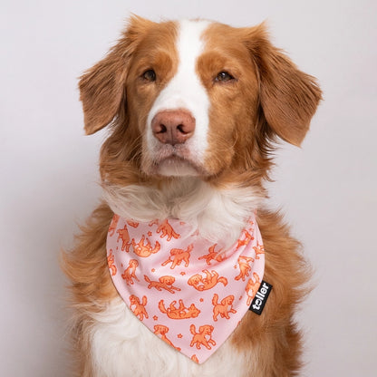 pink toller dog bandana print