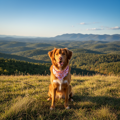 Dog sitting on a grassy hill with a scenic view of mountains and trees in the background