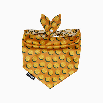 Dog bandana with tennis ball pattern.