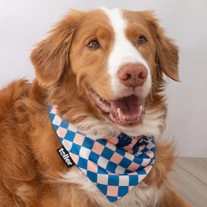 'Space Invader' 2-in-1 Dog Bandana