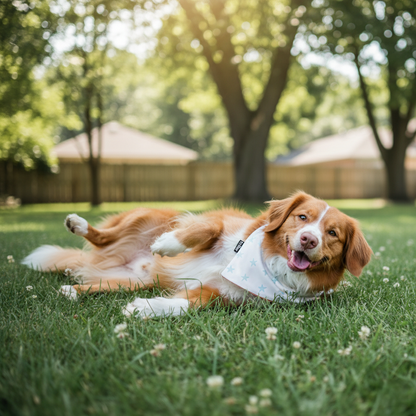 Dog lying on grass with a blurred background of trees and houses