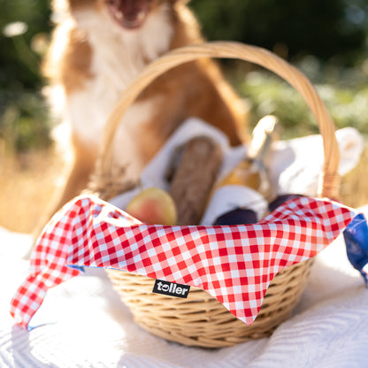 'Sunday Check' 2-in-1 Dog Bandana