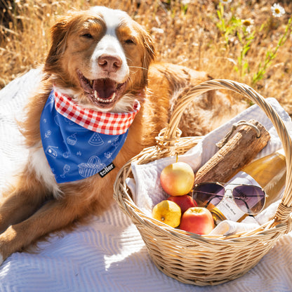 'Sunday Check' 2-in-1 Dog Bandana