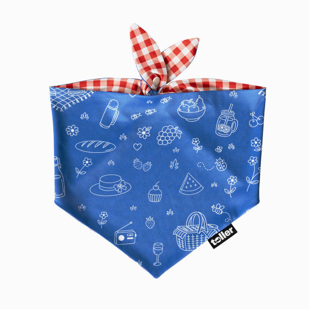'Sunday Check' 2-in-1 Dog Bandana