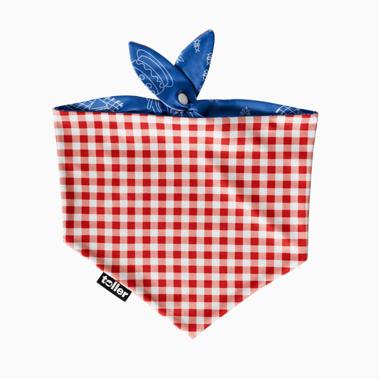 'Sunday Check' 2-in-1 Dog Bandana