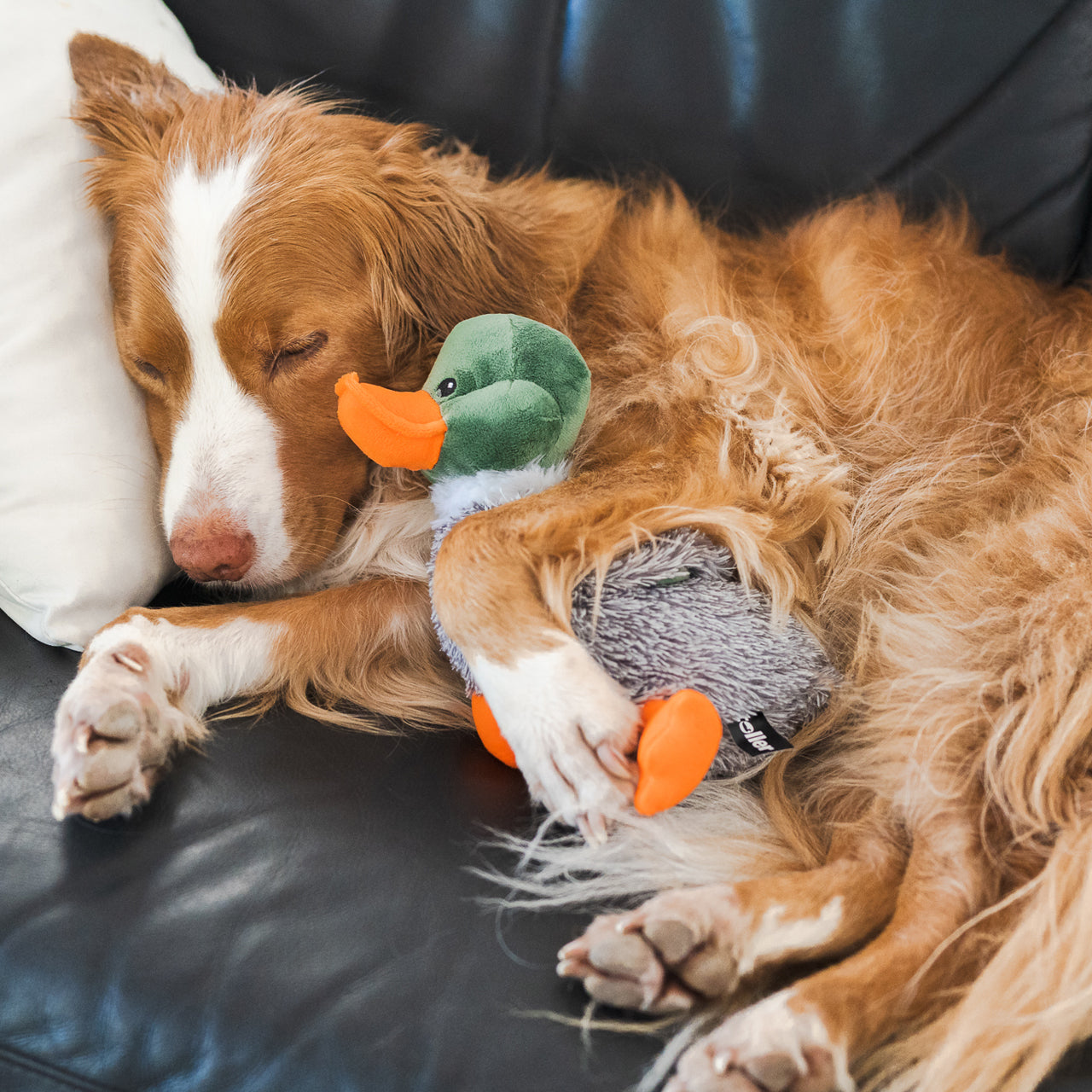 Dog Cuddling Squeaker Toy