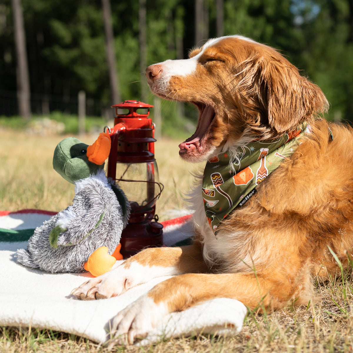 'Happy Camper' 2-in-1 Dog Bandana