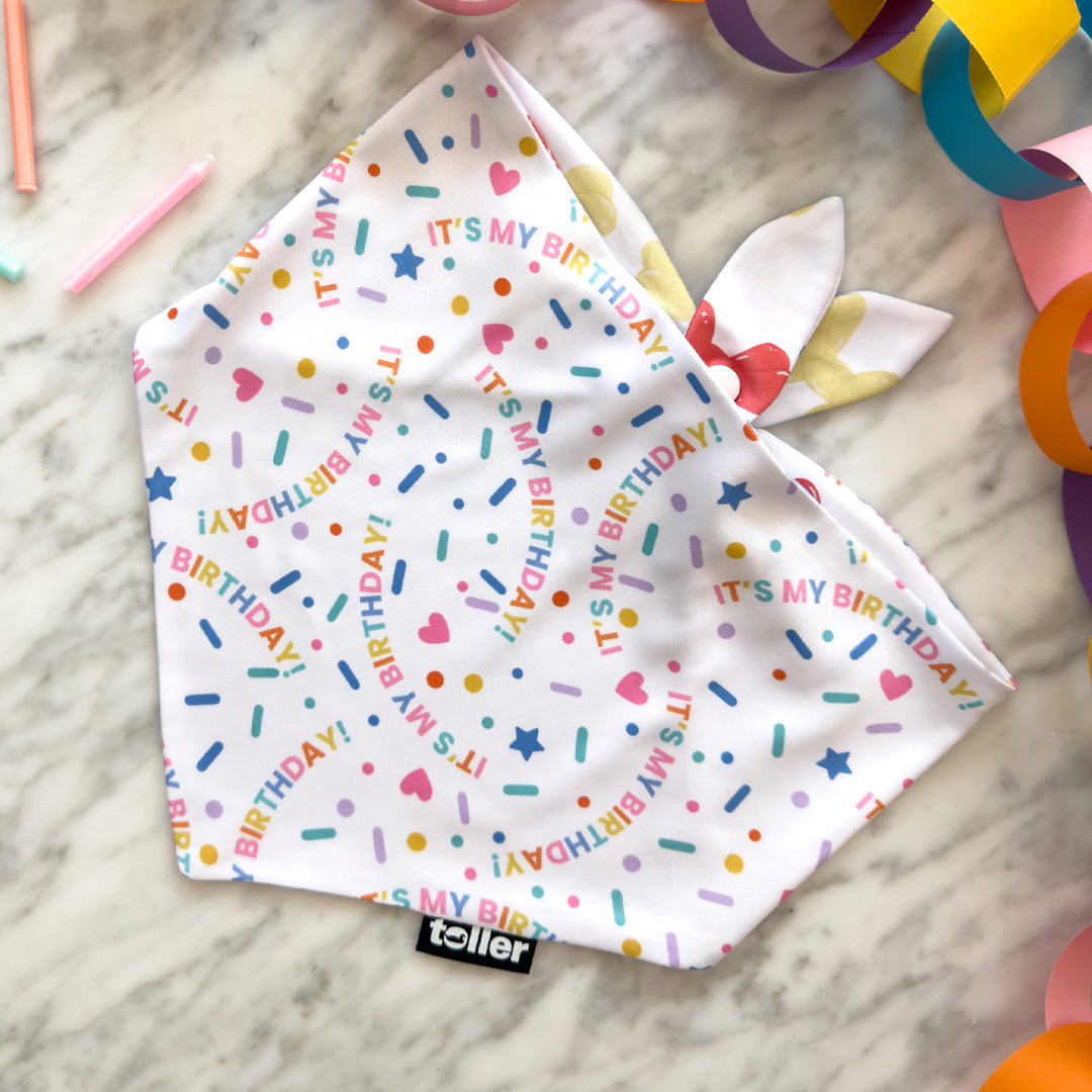 'Hip Hip Hooray' 2-in-1 Dog Bandana