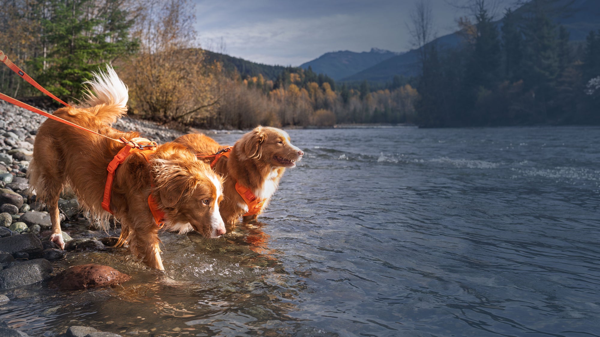 Built For Every Adventure.