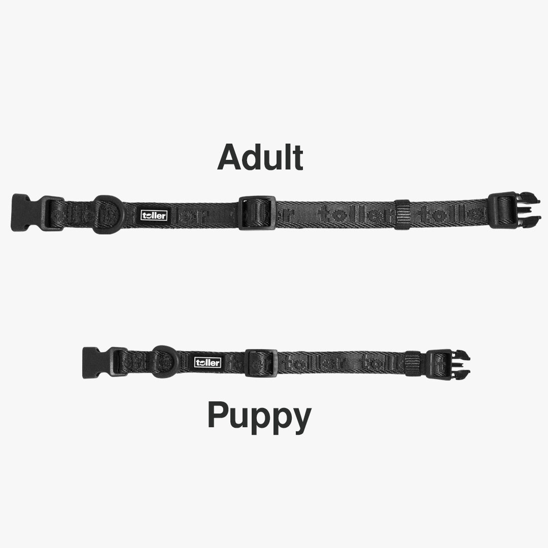 And vs puppy comparison collars