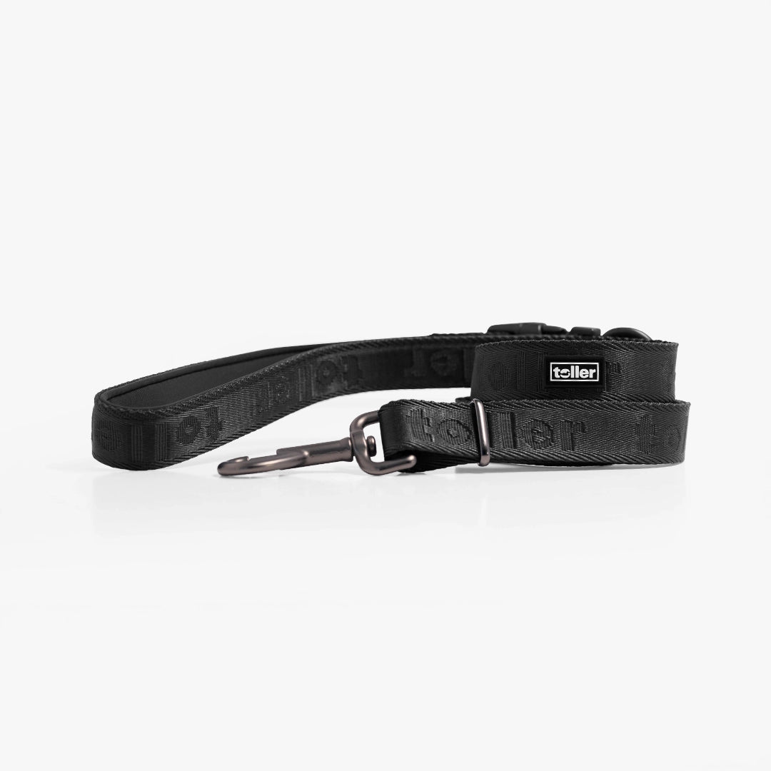 Black Toller dog leash