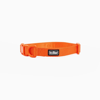 Orange dog collar with a black label on a white background