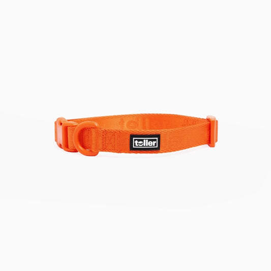 Orange dog collar with a black label on a white background