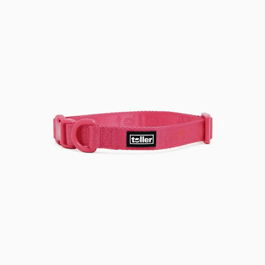 Pink dog collar with a black label on a white background