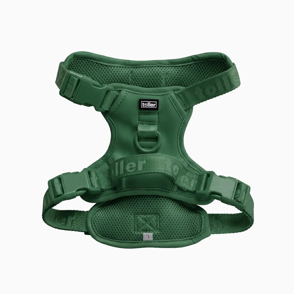 Green dog harness on a white background