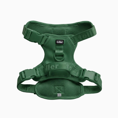 Green dog harness on a white background