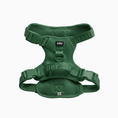Green dog harness on a white background