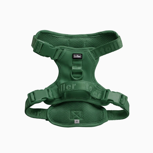 Green dog harness on a white background