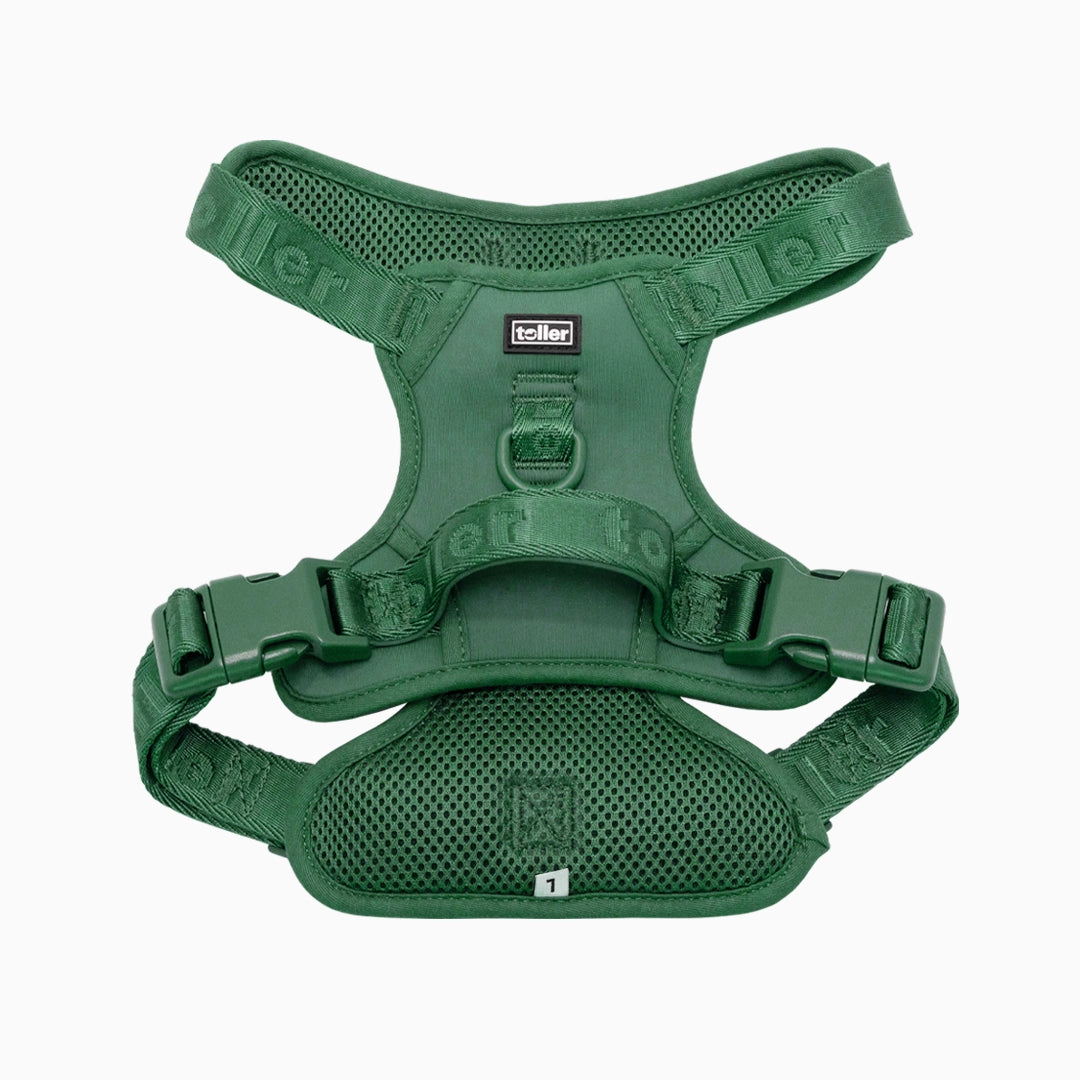 Green Toller Dog harness