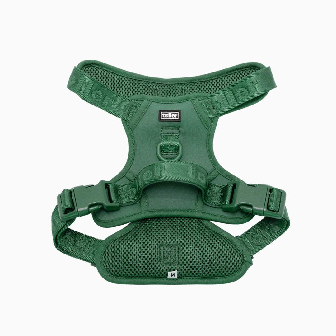 Medium green Toller harness