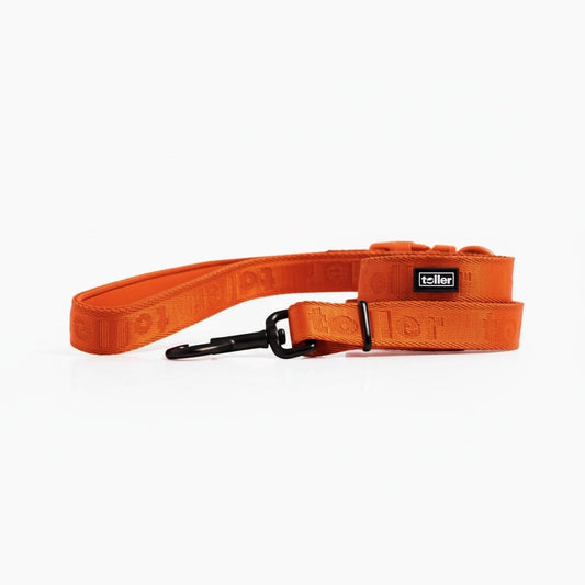 Orange dog leash with a black clip on a white background