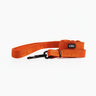 Orange Leash