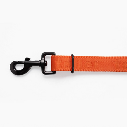 Orange dog leash with black clip on a white background