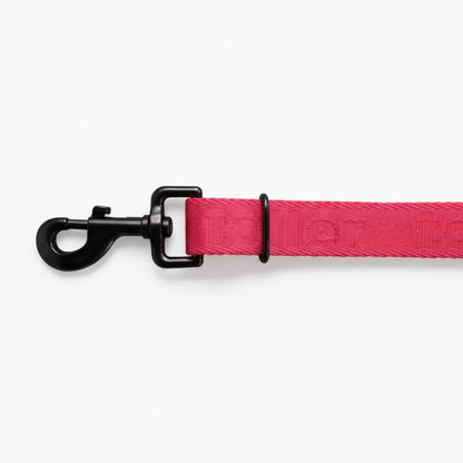 Pink dog leash with black clip on a white background