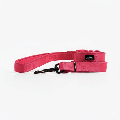 Pink dog collar with a black buckle on a white background