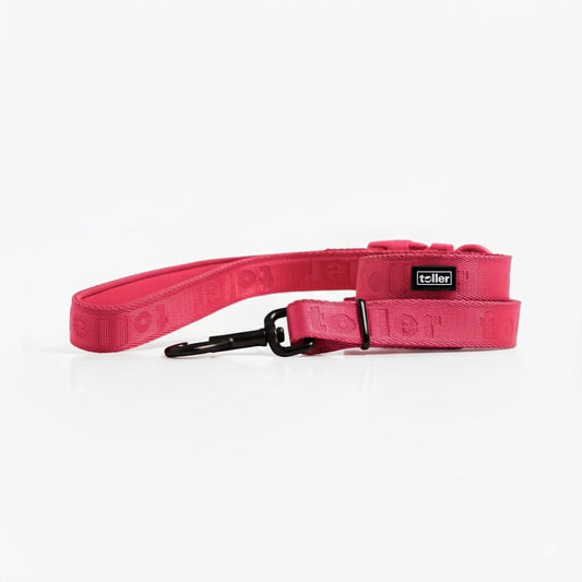 Pink dog collar with a black buckle on a white background