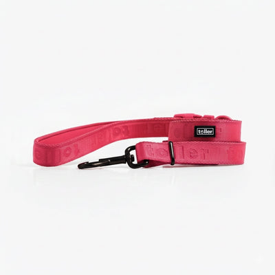 Pink dog collar with a black buckle on a white background