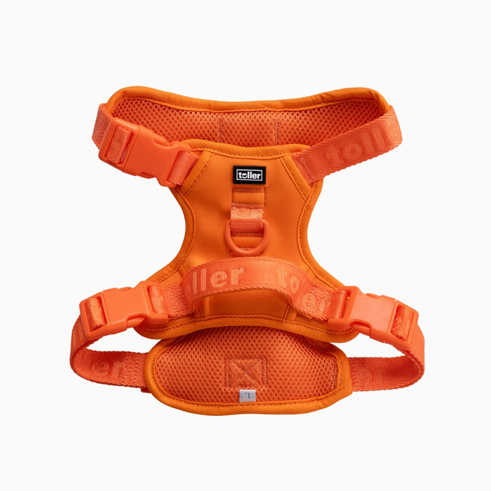 Orange dog harness on a white background