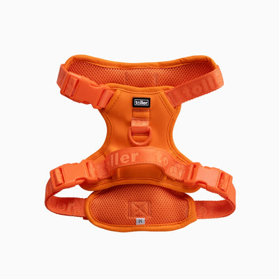 Orange dog harness with visible branding on a white background