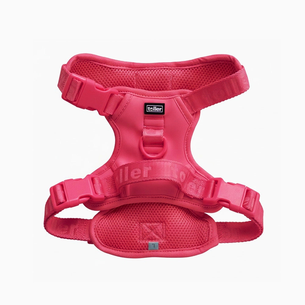 Pink dog harness on a white background