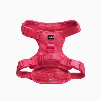 Pink dog harness with 'toller' branding on a white background