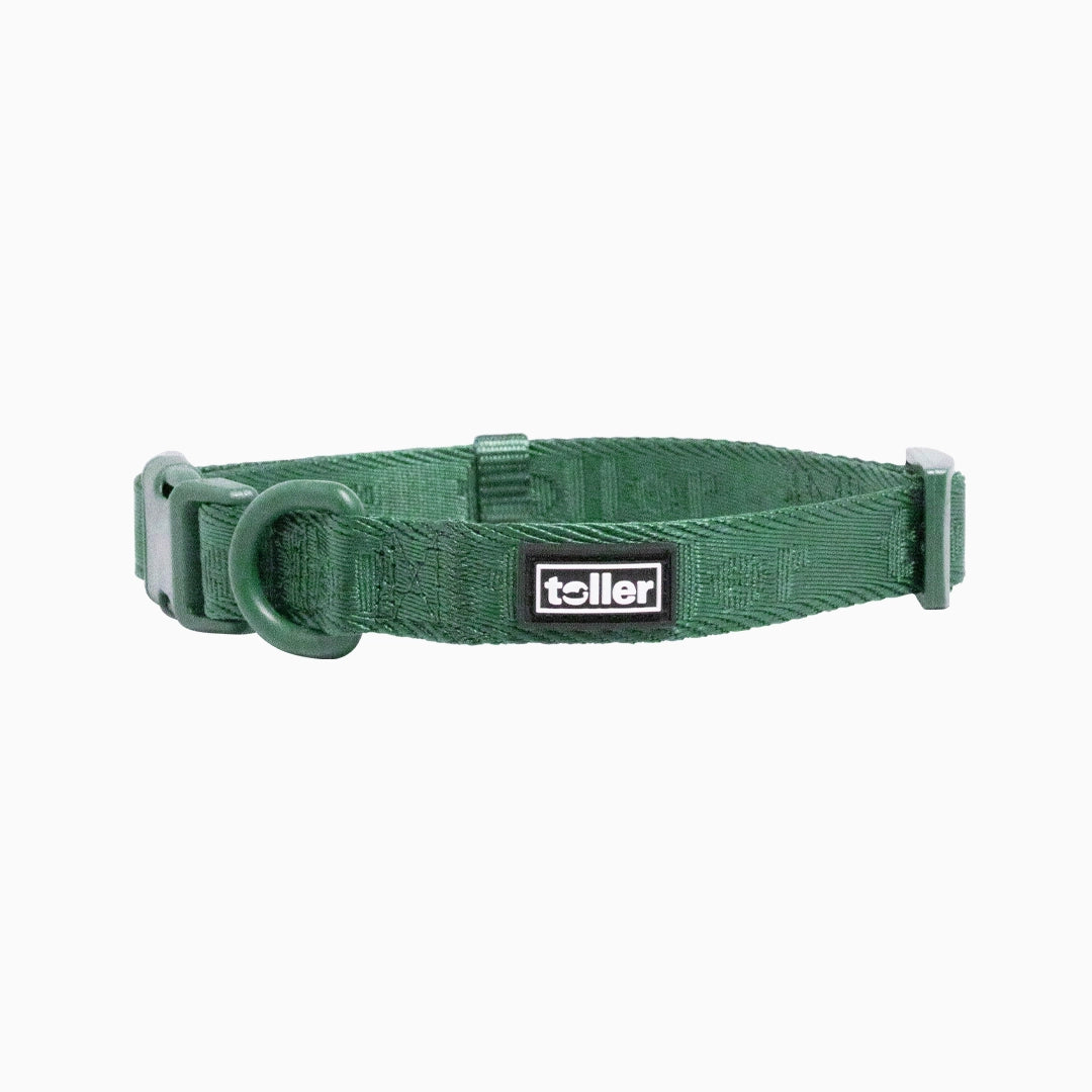 Green Toller dog collar