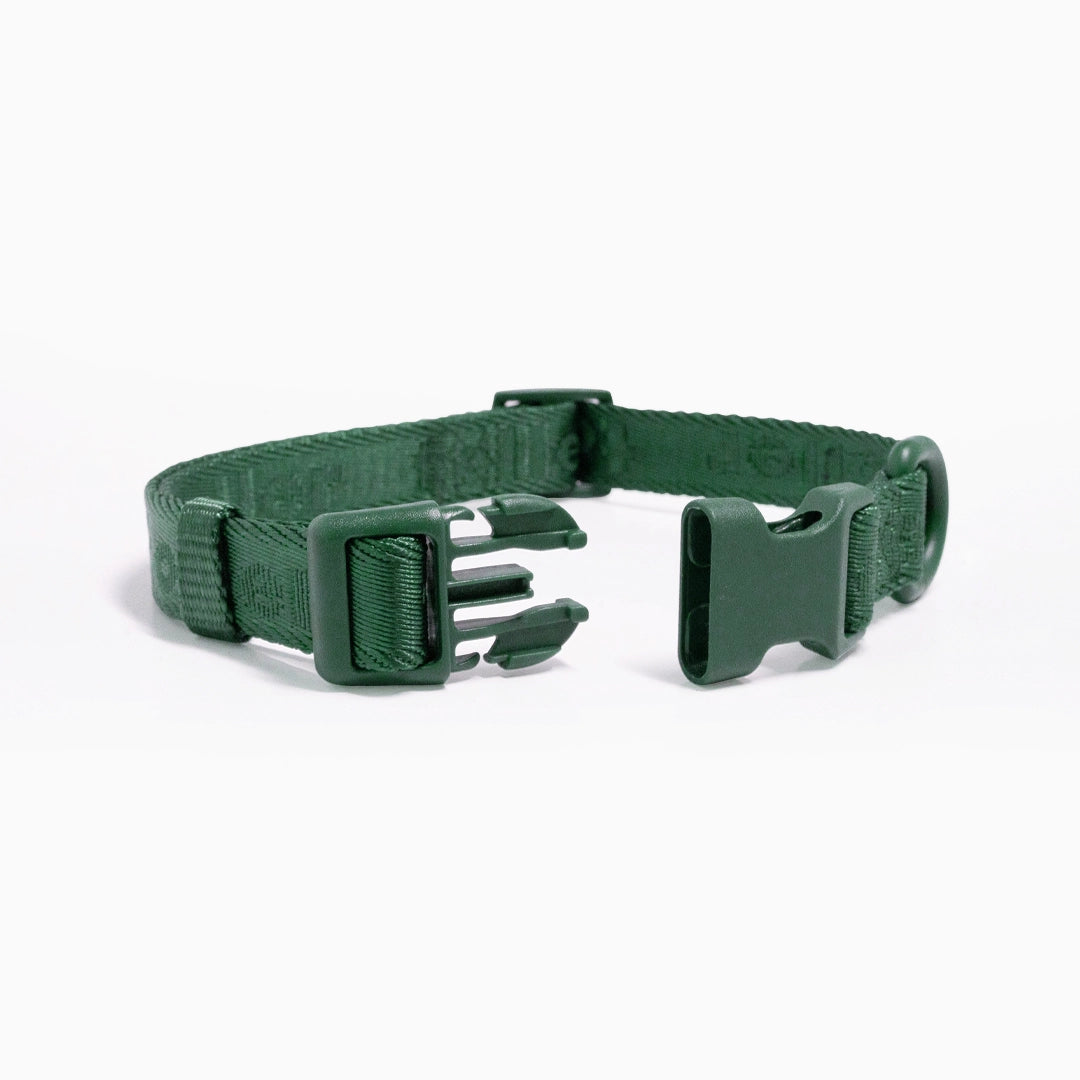 Toller green collar buckle