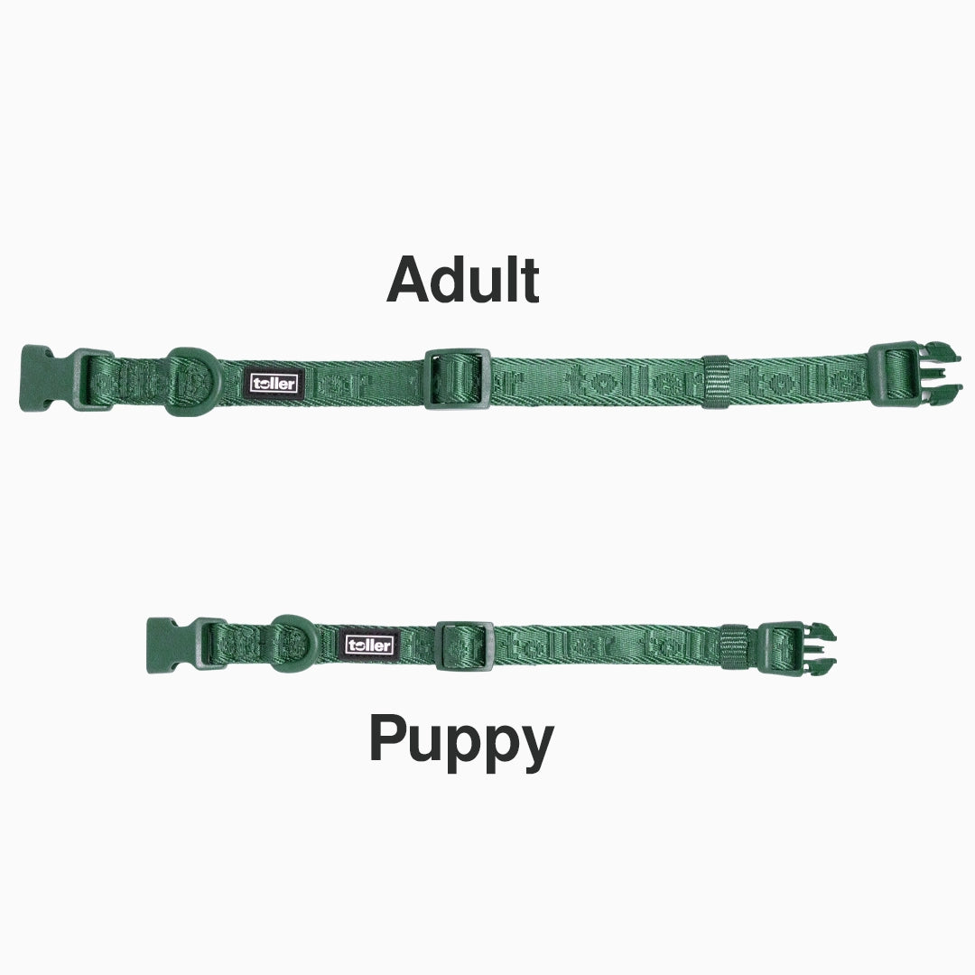 Toller Adult vs Puppy green collar comparison