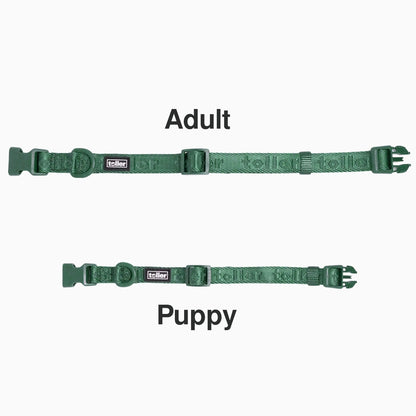 Toller Adult vs Puppy green collar comparison