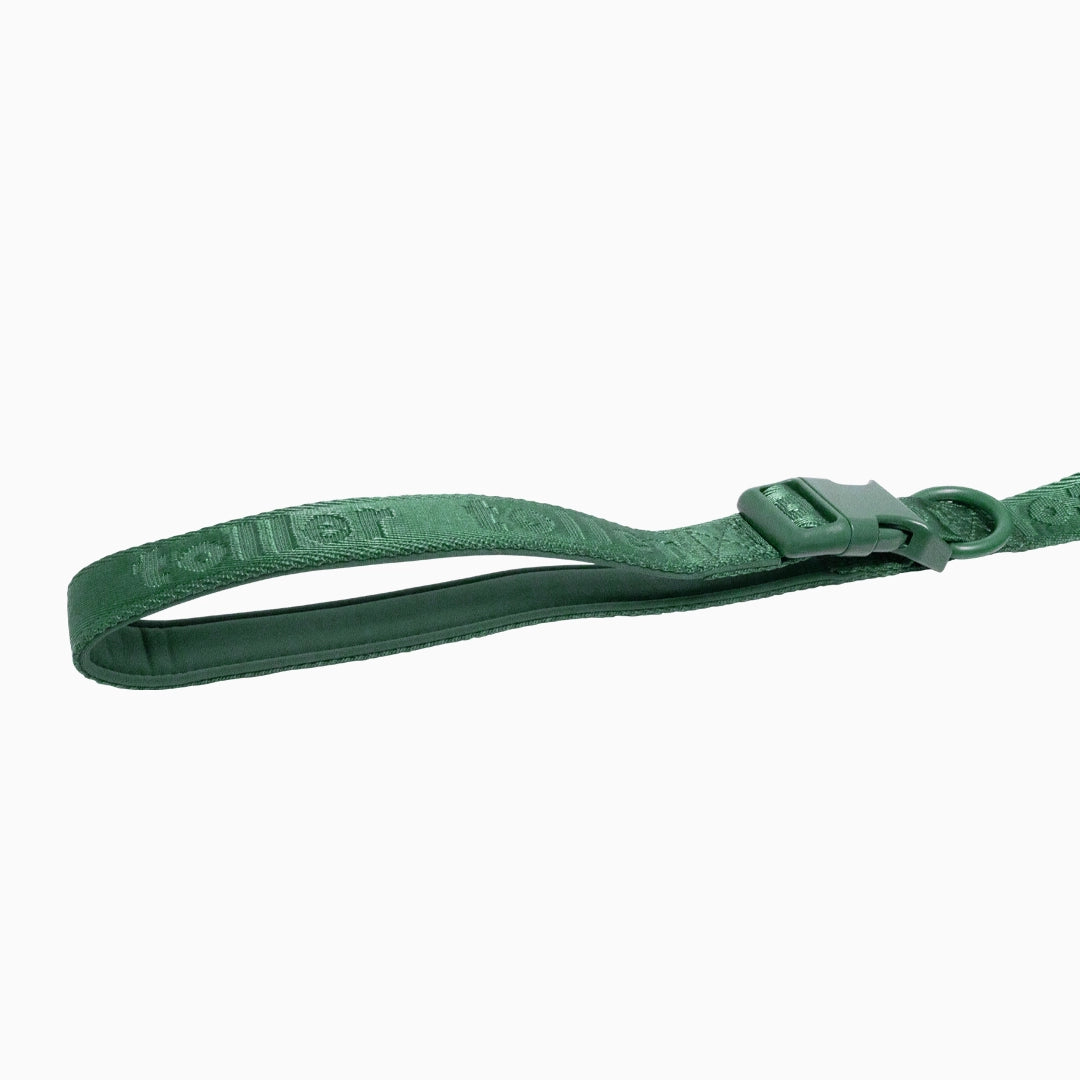 Toller green padded leash close up