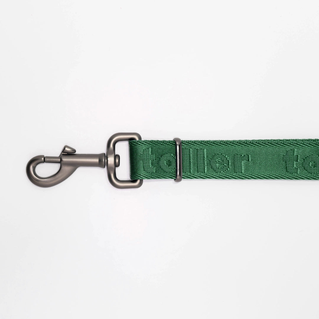 Detail shot of green leash clasp