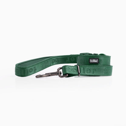 Green Toller dog leash